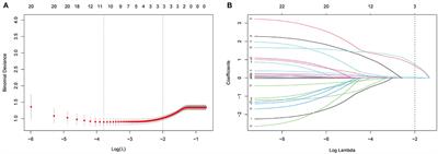An Externally Validated Dynamic Nomogram for Predicting Unfavorable Prognosis in Patients With Aneurysmal Subarachnoid Hemorrhage
